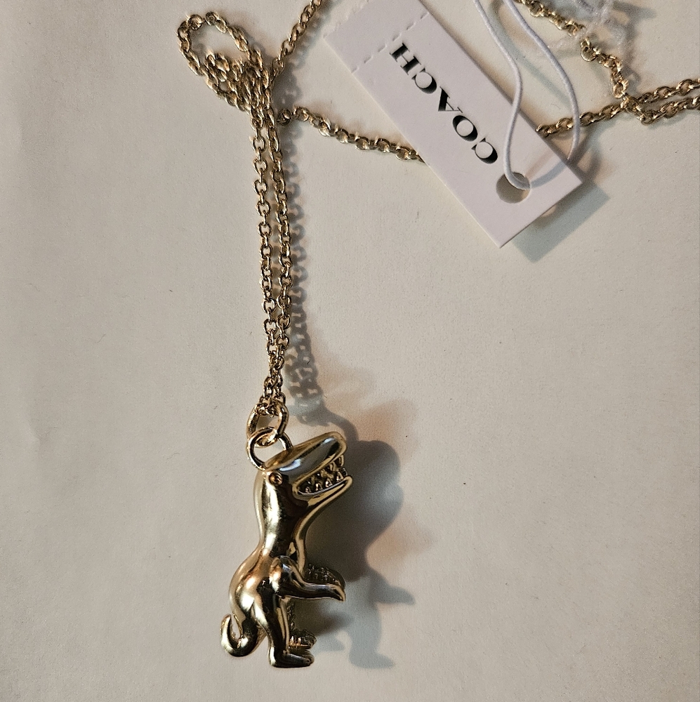 Coach Rexy Chain - Picture 6 of 6